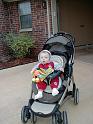 OU Stroller2